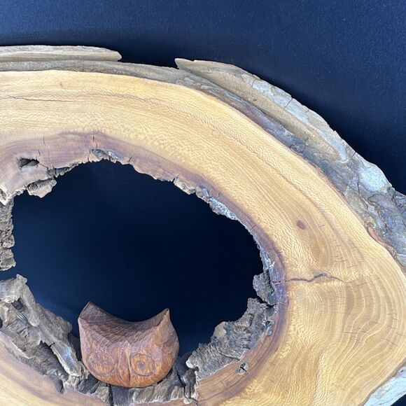 Burlwood Cut Live Edge Wood Slab Slice Owl Decor Unique OFAK Artwork - Picture 8 of 16